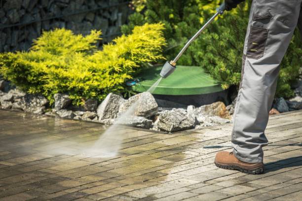Best Winterizing Services  in Gladeview, FL