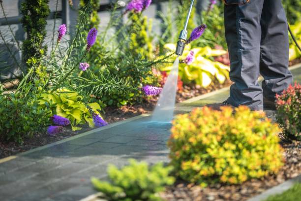 Best Spring Cleaning  in Gladeview, FL
