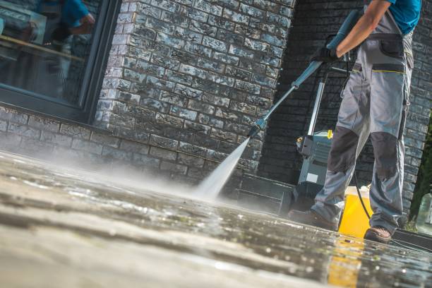 Best Graffiti Removal  in Gladeview, FL