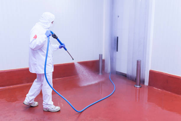 Best Post-Construction Pressure Washing  in Gladeview, FL